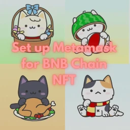 image for article How to set-up Metamask for BNB Chain NFTs