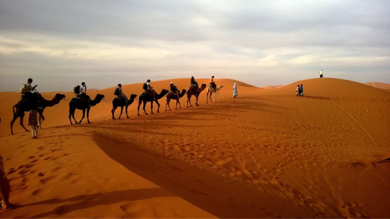 Arabian Desert - United Arab Emirates
