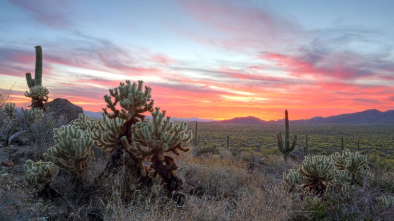 Sonoran Desert - USA (Arizona)