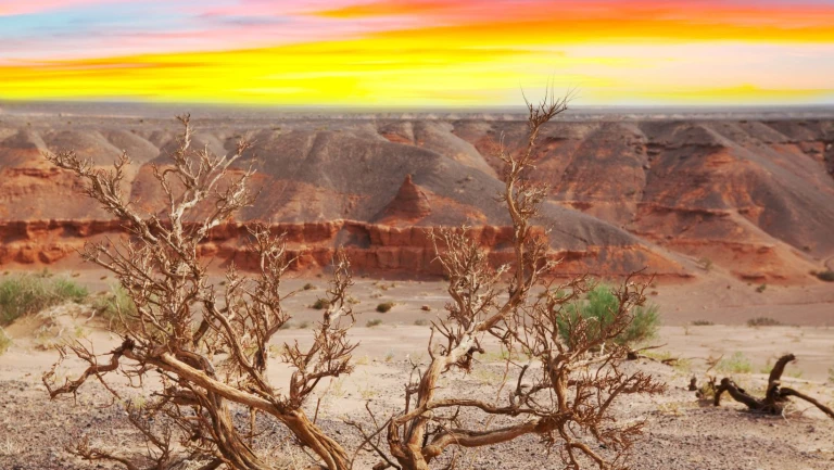 Gobi Desert - Mongolia