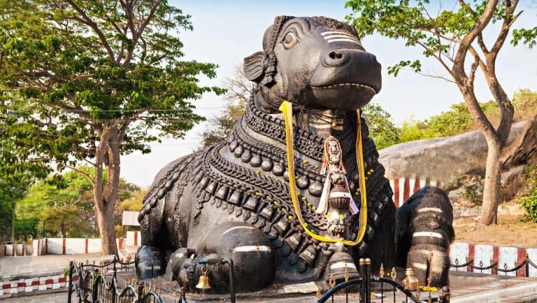 Shri Nandi Monument, Chamundi Hill Mysore 