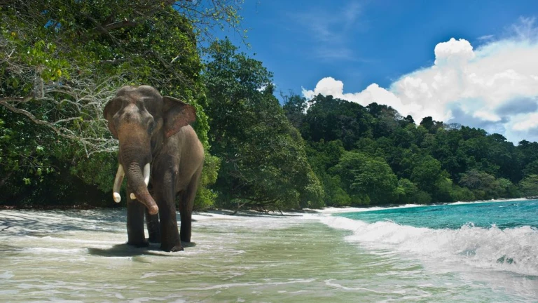 Andaman and Nicobar archipelago Islands 
