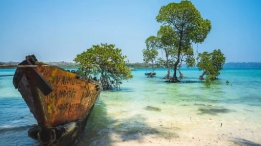 image for article Complete Travel Guide to Havelock Island 2023