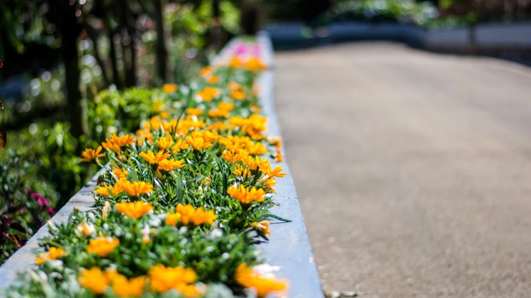 Ooty Botanical Garden