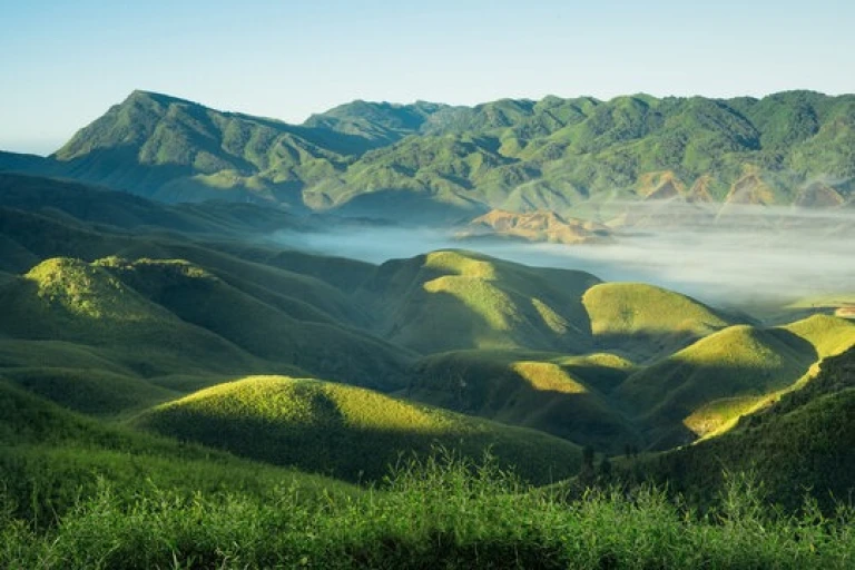 Dzukou Valley