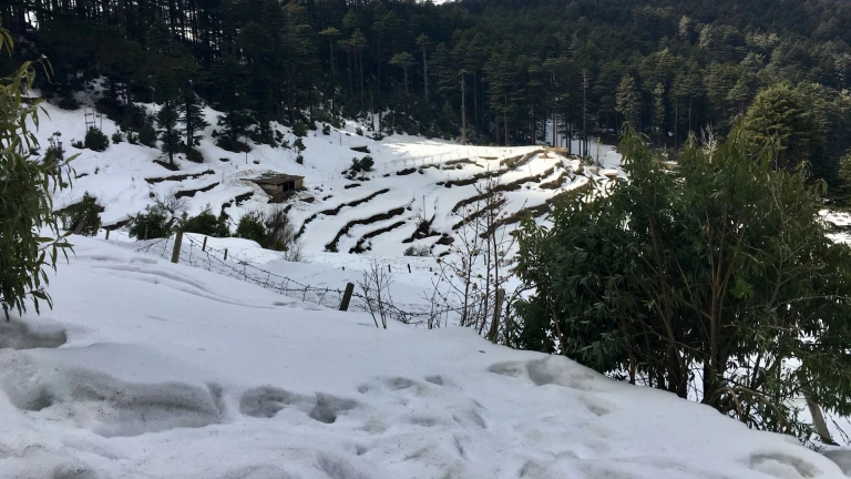 Patnitop, Jammu and Kashmir