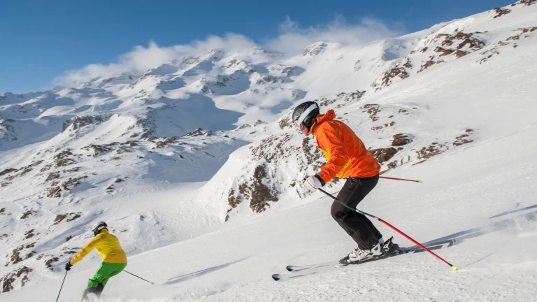 Alpine Skiing 