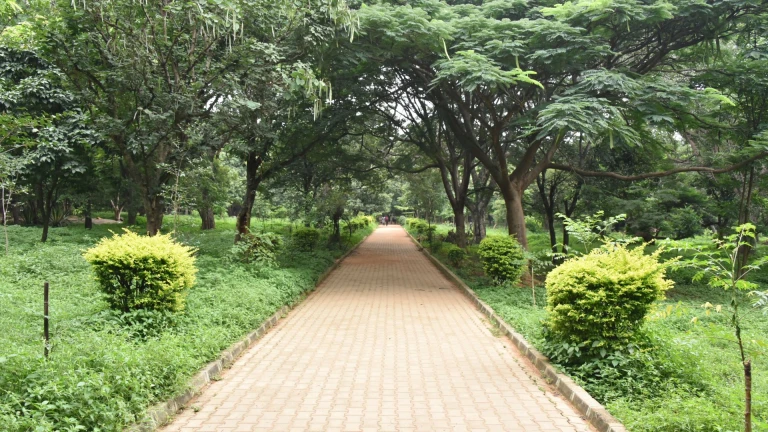 Cubbon Park