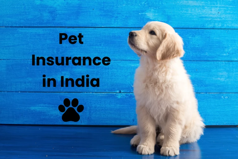 Pet Insurance in India