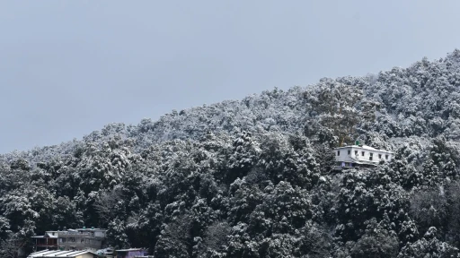 image for article Winter Magic in Nainital: When to Experience Snowfall and Places to Go