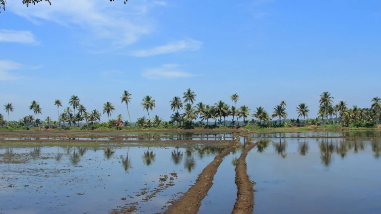 Kuttanad