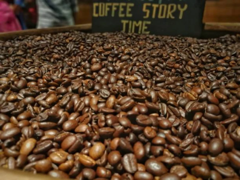 Unveiling Coorg's Coffee Culture