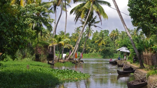 image for article 3 Day Detailed Itinerary for Alleppey, Kerala