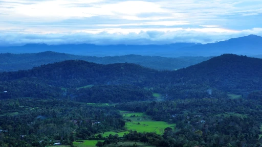 image for article Coorg and Beyond: The Best Places to Visit Near Coorg on Your Holiday