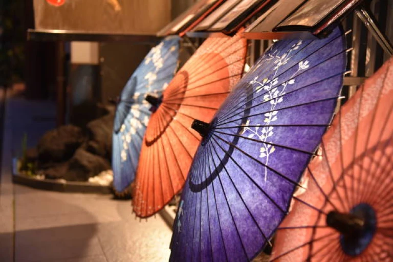 Traditional Wagasa Umbrellas