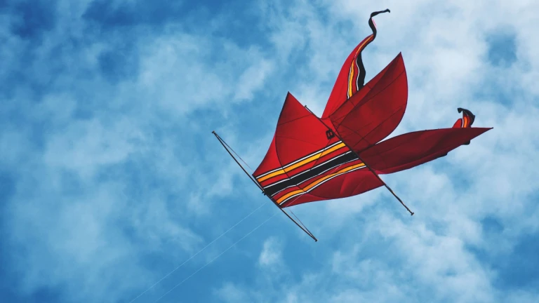 Kites in Bali