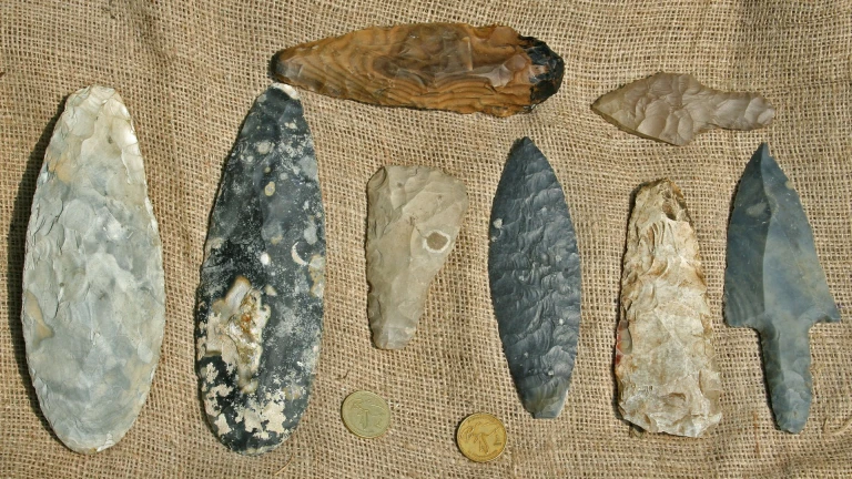 Seashell Artifacts from Palolem Beach