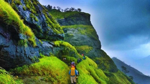 image for article 8 Stunning Trek Trails You Must Explore in Maharashtra