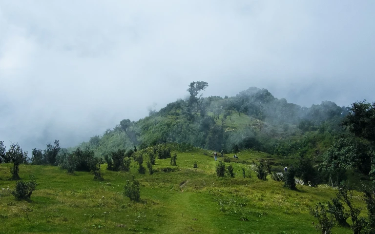 Singalila National Park Darjeeling
