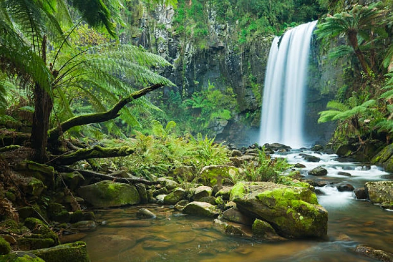  Jungle Waterfall