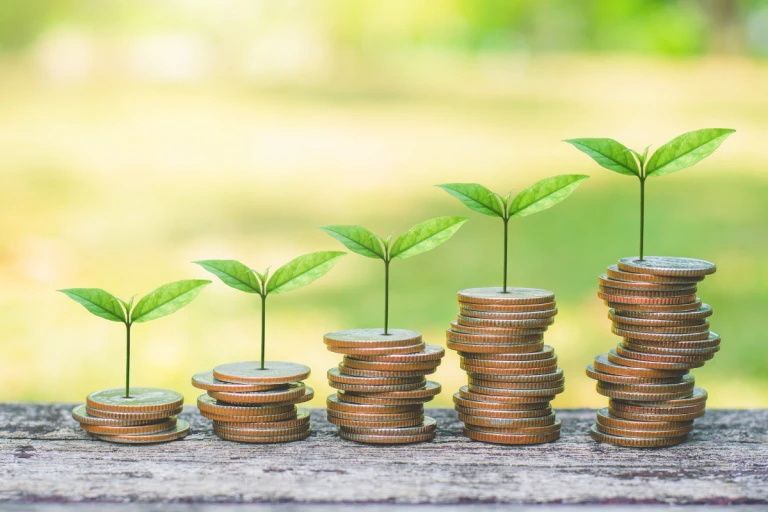 The Role of Green Finance in India's Sustainable Journey