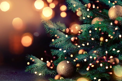 image for article Christmas in Delhi: Things to do and more!