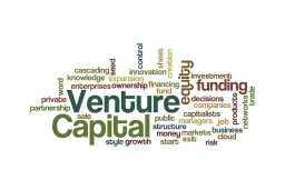 image for article 5 Fundamental of Successful Venture Capital Investments
