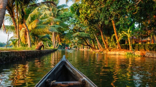 image for article Is Kerala really worth the hype? Travel insights and more!