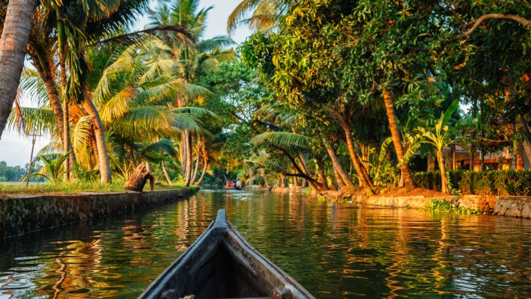 Canoeing in the backwaters of Kerala