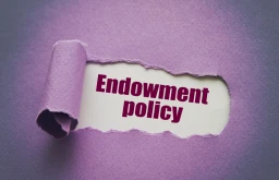 image for article What is an Endowment Plan?