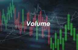 image for article What is Volume in the share Market