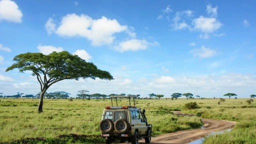 image for article Which Safari to go in Kenya for the best Wildlife Experience?