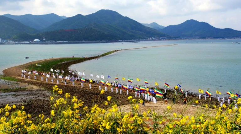 Jindo Sea-Parting Festival