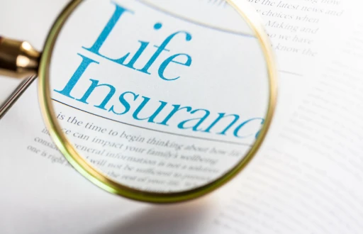 image for article Top 10 Life Insurance Companies in India