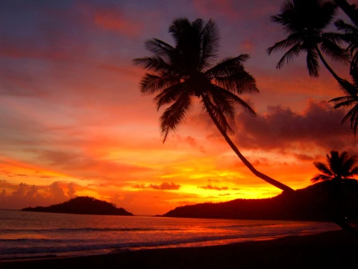 image for article Sunset spots in Goa for enjoying epic golden hours!