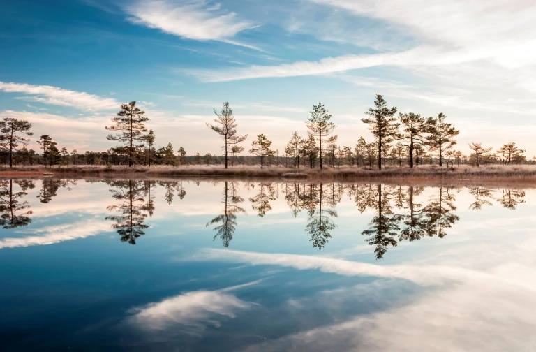 lahemaa national park estonia