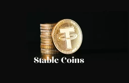 image for article Top Stable Coins to Invest in India