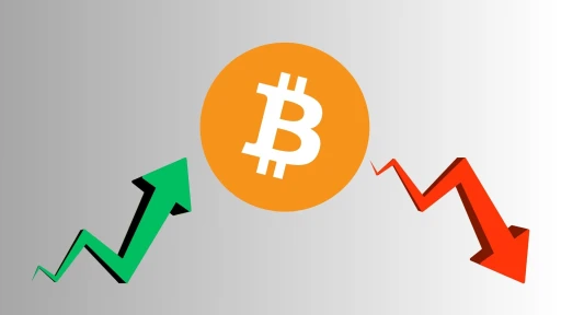 image for article The Sudden Rise and Drop of Bitcoin: What went wrong?