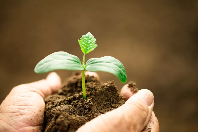 15 Agritech Startups Revolutionizing India&#039;s Agricultural Sector