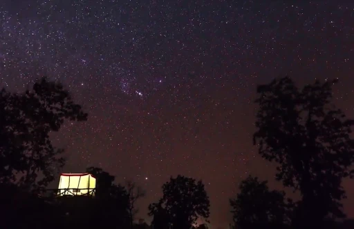 image for article Presenting you India's first Dark Sky Park - Pench Tiger Reserve