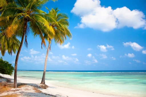 Budgeting Your Lakshadweep Getaway: How Much Will an Island Vacation Cost You?