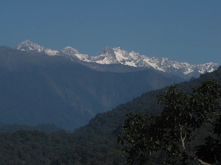 Namdapha National Park, Arunachal Pradesh