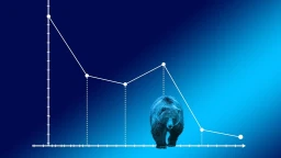 image for article How to survive a Bear Market?