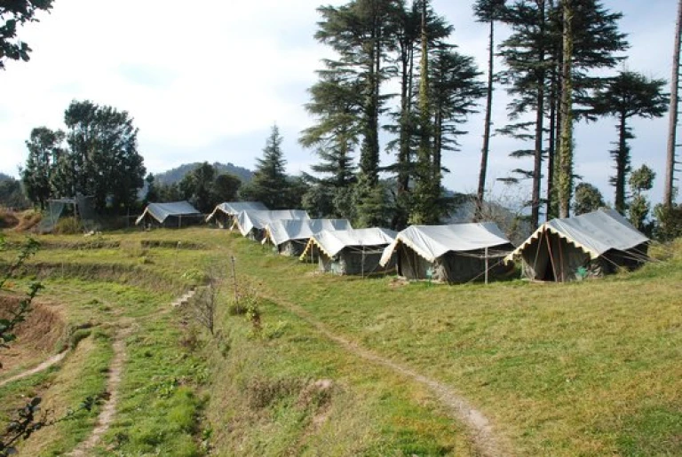 Camp Thangdhar, Kanatal