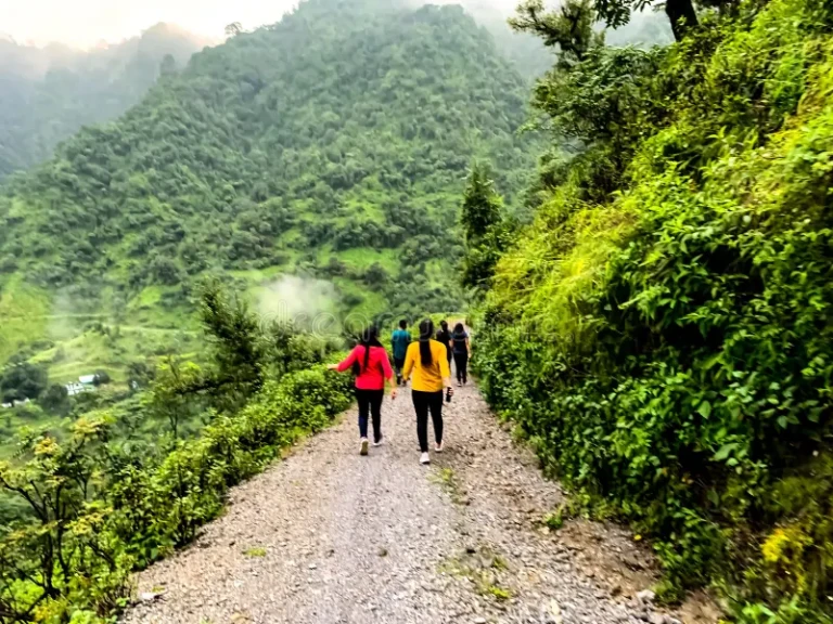 Nature Walk and Morning Walk Trekking View Dhanaulti Mountain Uttarakhand