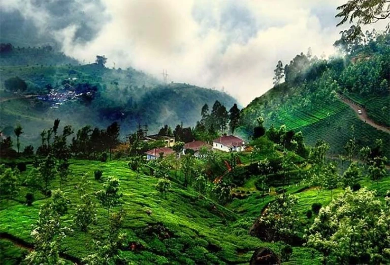 Coorg: Where love blooms with every breeze! 