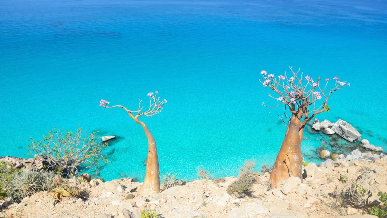 Landscape of Socotra Island