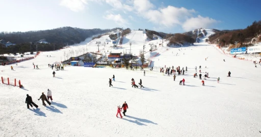 The Best Ski Resorts in South Korea for a Perfect Winter Getaway