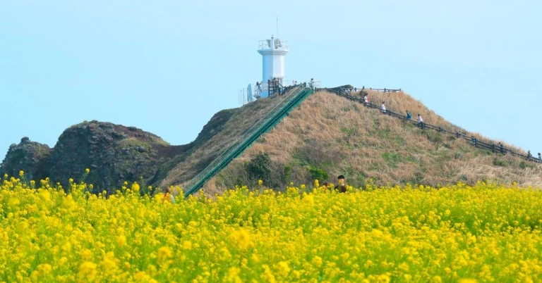 5D4N South Korea Itinerary for K-Drama Fans