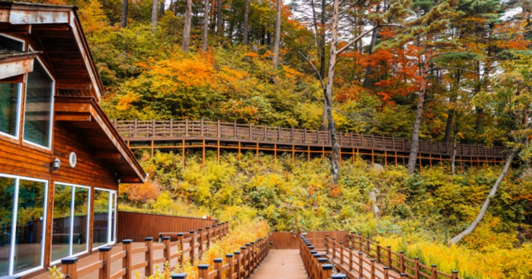 8 Hidden Wellness Gems in South Korea for a Therapeutic Escape From Your Busy Routine